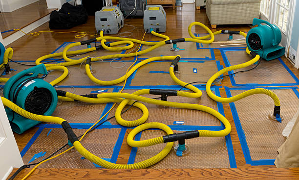 Professional Burst Pipe Water Damage technician working in Norristown, PA